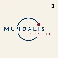 Mundalis consulting